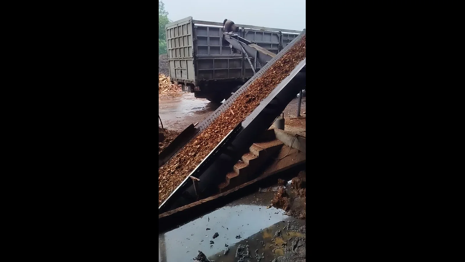 Processed wood material moving through the discharge and conveying system